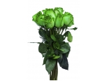 Blooming Green - 6 Stems Bouquetretdrteeey